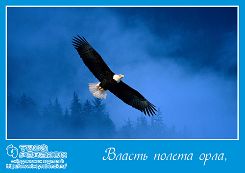 Открытка папе
