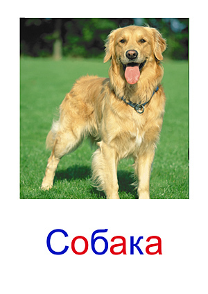 Карточки Домана