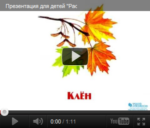 Видеопрезентация Листья деревьев