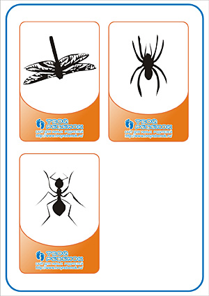 Угадай животное - стрекоза, паук, муравей