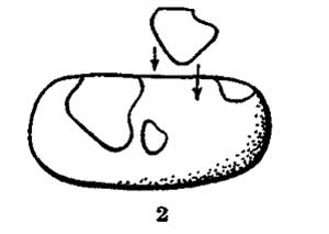 Буренка
