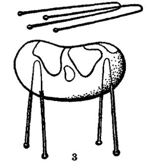 Буренка